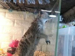 -平行世界·猫咖(首经贸店)