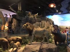 -陕西自然博物馆