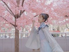 -金茂览秀城