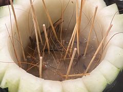 罗氏虾-尚竹阁冬瓜盅·18年地标美食(平洲店)