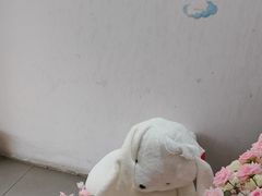 -LE SHARE洛笙·花园西餐(北京路步行街店)