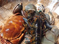 一片海（小海/份）-日进一片海.生腌海鲜火锅.宵夜烧烤(三里屯总店)