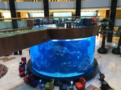 -OPEN開全日自助餐厅·牛肉火锅·海鲜(佛山希尔顿酒店)