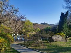 -棒棰岛宾馆景区