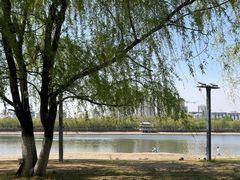 -长白岛森林公园