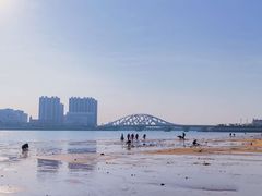 -星光岛
