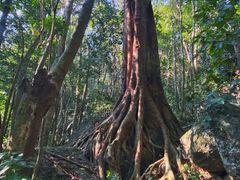 -七仙岭温泉国家森林公园