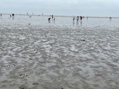 -奉贤海滩