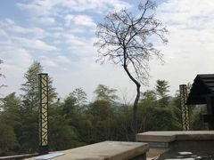 -天目湖涵田半山温泉