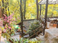 -巴倒烫陆派火锅山庄(南山总店)