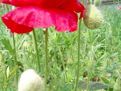 外景-河南省黄河迎宾馆