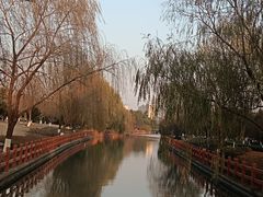 -九科绿洲
