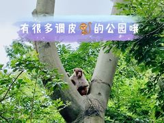 -黔灵山公园