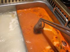 鲜脆毛肚-要德火锅(鼓楼店)