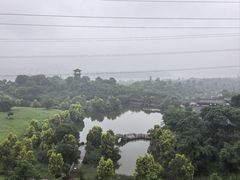 -张坝桂圆林公园