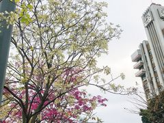 -铁军公园