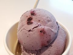 蓝莓雪糕-哈根达斯(天河城店)