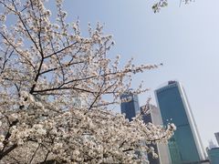 -西北湖绿化广场