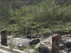 -西岭雪山大飞水景区