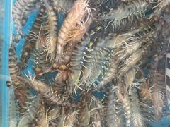 -龙香居海鲜浑锅家常菜·特色驴肉