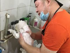 -酷狗靓猫宠物·洗护·美容·寄养(航北路店)