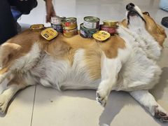 -平行世界·猫咖(首经贸店)