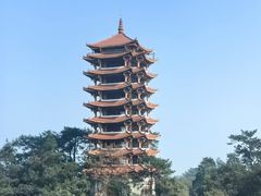 -缙云山景区