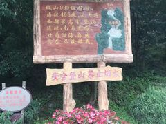 -金龙寺国家森林公园