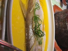 -桂满陇·桃花院落(长泰广场店)