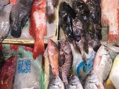 冰凍海魚-蛇口市场