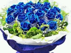 蓝色妖姬-容玉花店