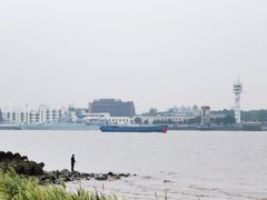 -上海滨江森林公园