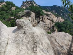 -大岭沟猕猴桃谷风景区