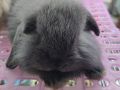 -三旗百汇商品城