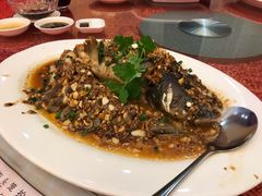-龙悦湾酒家·八阵鱼生·渔人码头店