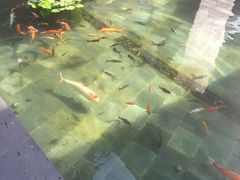 -三亚湾海居铂尔曼度假酒店