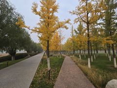 -汉长安城未央宫国家考古遗址公园