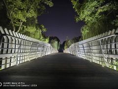 -南翔镇银翔湖公园