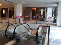 -舟山希尔顿酒店