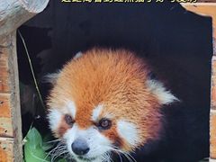 -常州淹城野生动物世界