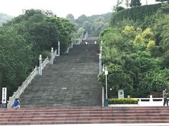 -铁山坪森林公园