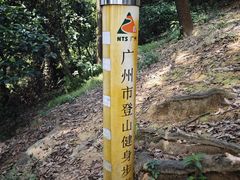 -火炉山森林公园