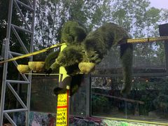 -清迈夜间动物园