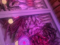 -长平老姿娘夜粥(平东一街店)