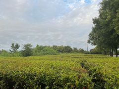 -终南山古楼观历史文化景区
