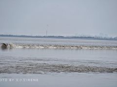 -观潮胜地公园