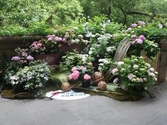 -吴山景区