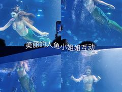 -重庆欢乐海底世界