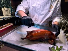 -秀儿四九城·新京菜(亚运村鸟巢店)