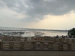 -宝安西湾红树林湿地公园